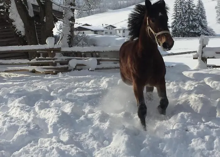 Sunny 2 Apartamento *